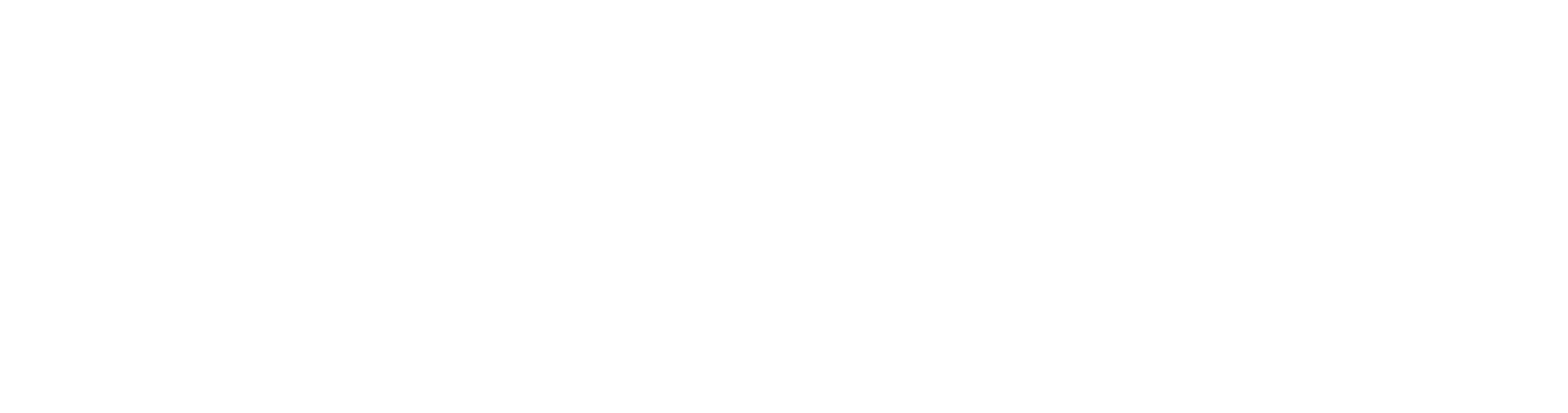 Bincir Demo - Logo